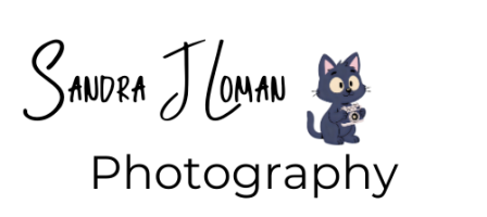 Learning To Make a Blog,